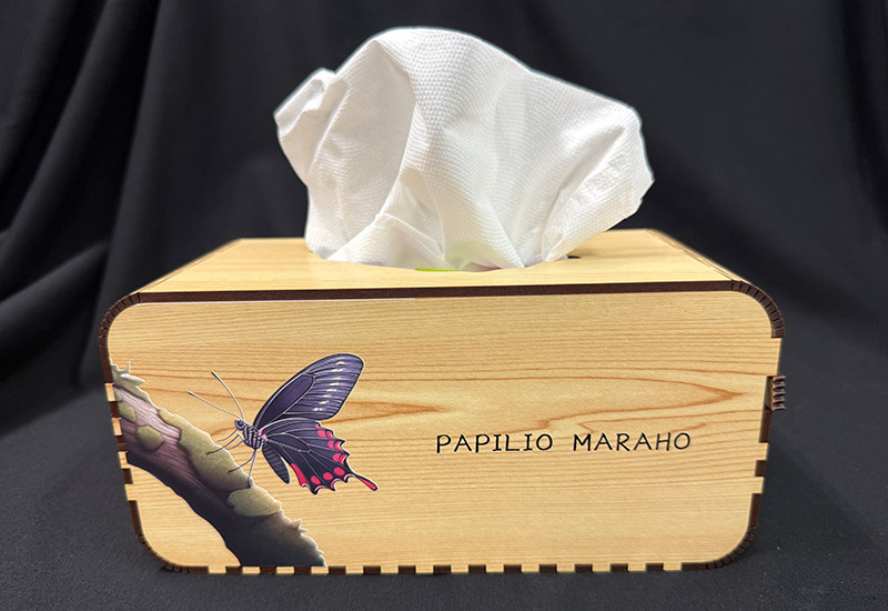 寬尾鳳蝶面紙盒 寬尾鳳蝶面紙盒