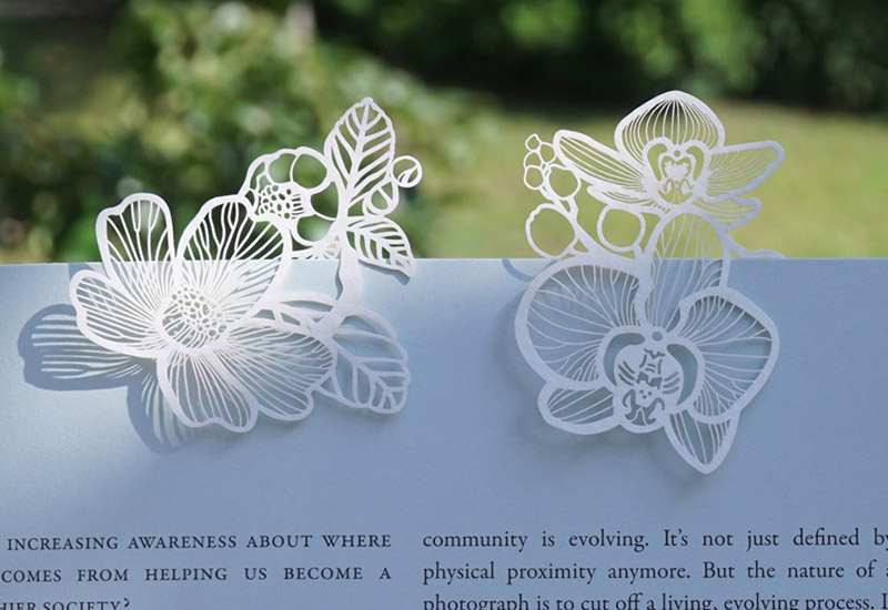 臺灣蝴蝶蘭與恆春山茶紙書籤