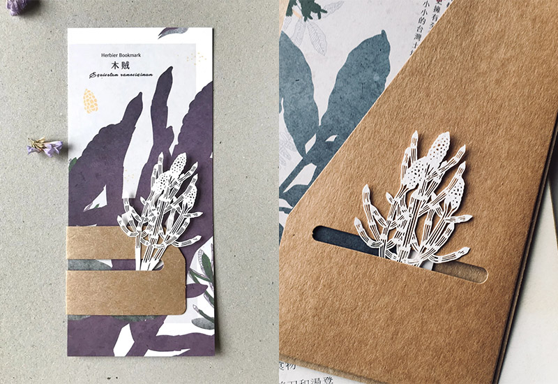 蕨類標本紙雕-木賊