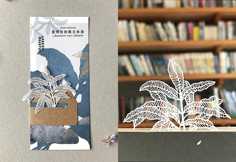 蕨類標本紙雕-臺灣原始觀音座蓮