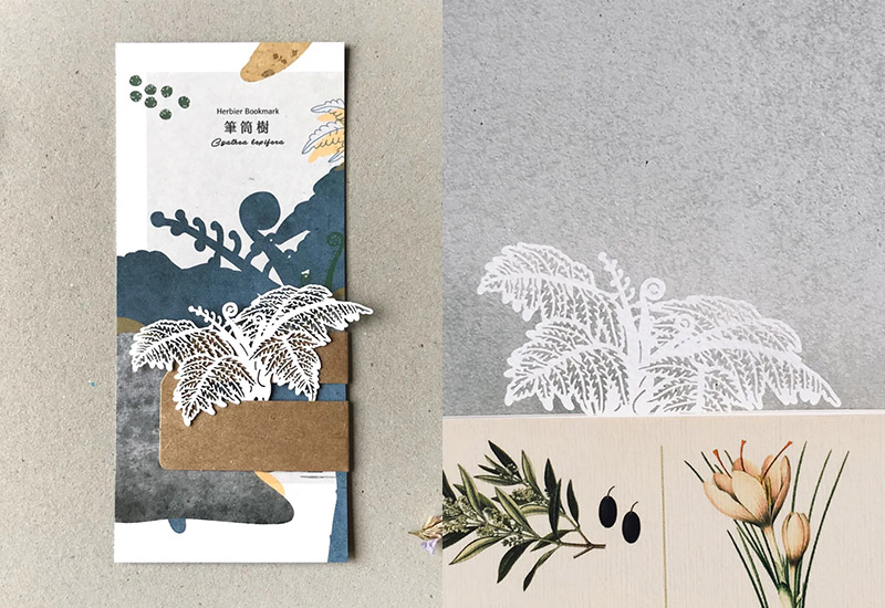 蕨類標本紙雕-筆筒樹