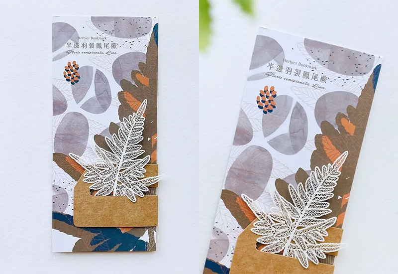 蕨類標本紙雕2.0-半邊羽裂鳳尾蕨