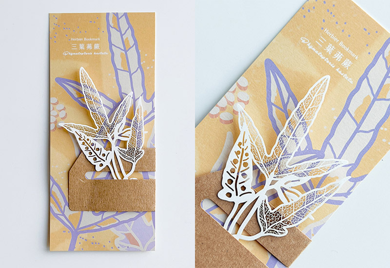 蕨類標本紙雕5.0-三葉茀蕨