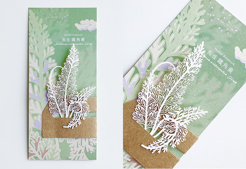 蕨類標本紙雕5.0-長生鐵角蕨