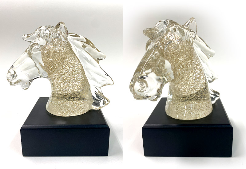 駿馬-精裝盒(2色可選)