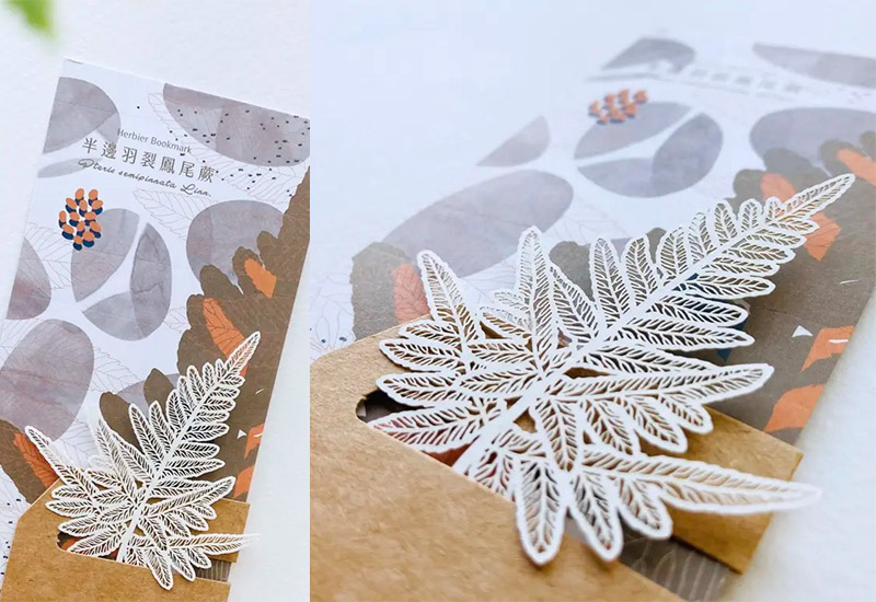 蕨類標本紙雕2.0-半邊羽裂鳳尾蕨