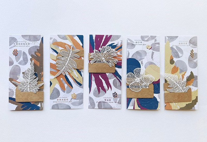 蕨類標本紙雕2.0