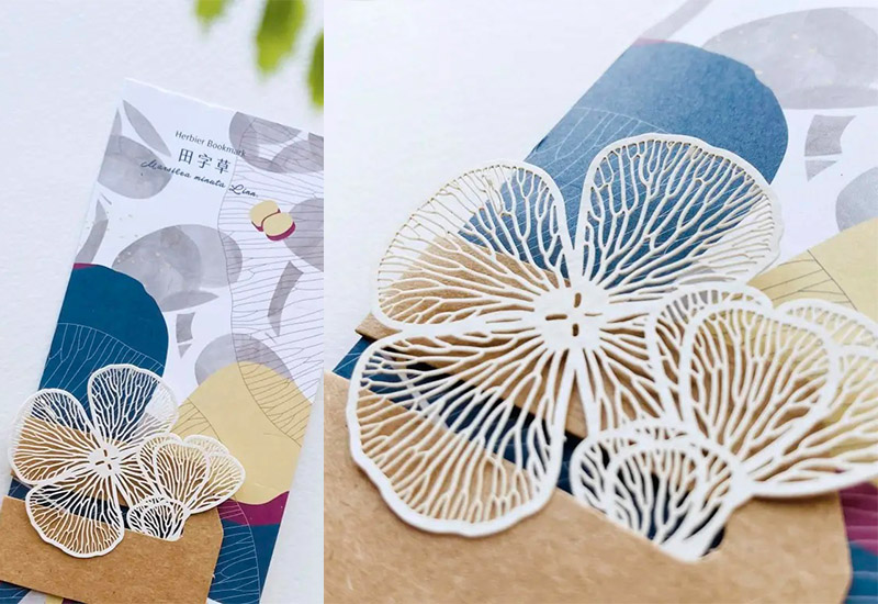 蕨類標本紙雕2.0 - 田字草