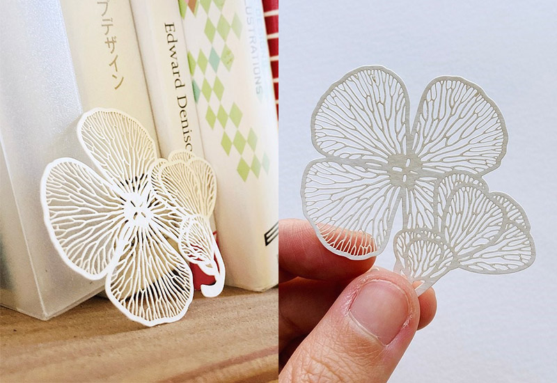 蕨類標本紙雕2.0 - 田字草