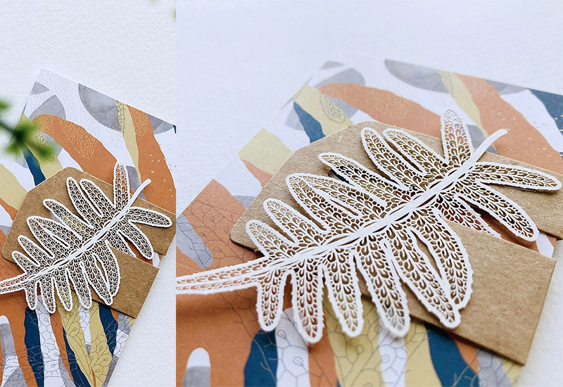 蕨類標本紙雕2.0 - 臺灣水龍骨