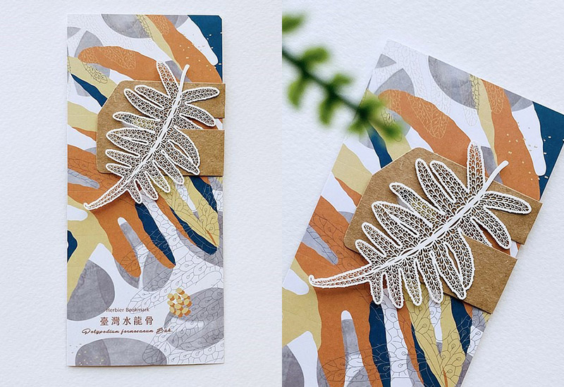 蕨類標本紙雕2.0 - 臺灣水龍骨