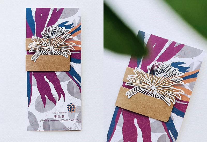 蕨類標本紙雕2.0 - 雙扇蕨