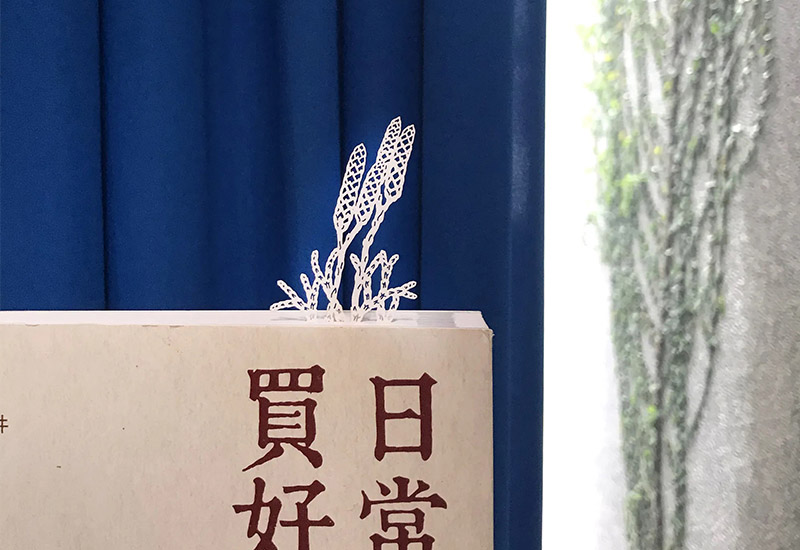 蕨類標本紙雕-玉山地刷子