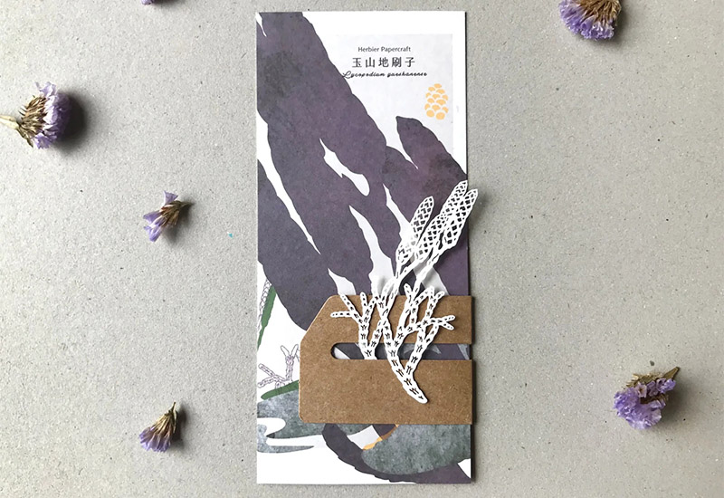 蕨類標本紙雕-玉山地刷子