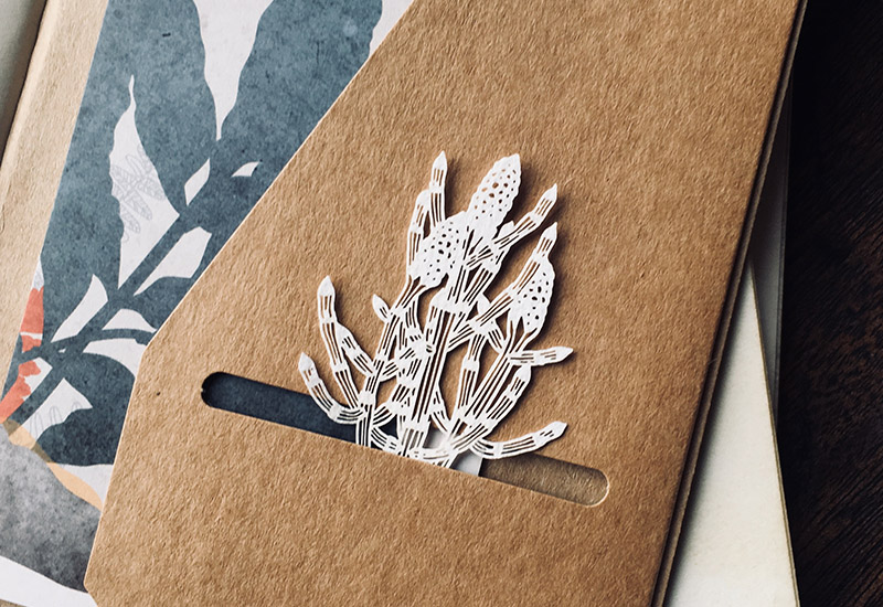 蕨類標本紙雕-木賊