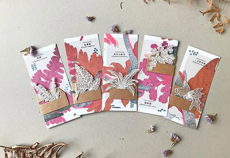 蕨類標本紙雕-南洋山蘇花