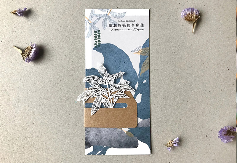 蕨類標本紙雕-臺灣原始觀音座蓮