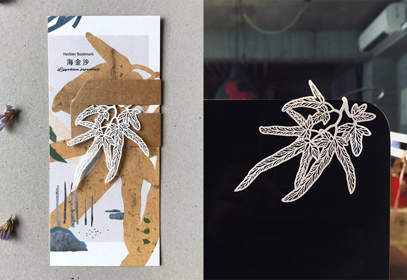 蕨類標本紙雕-海金沙