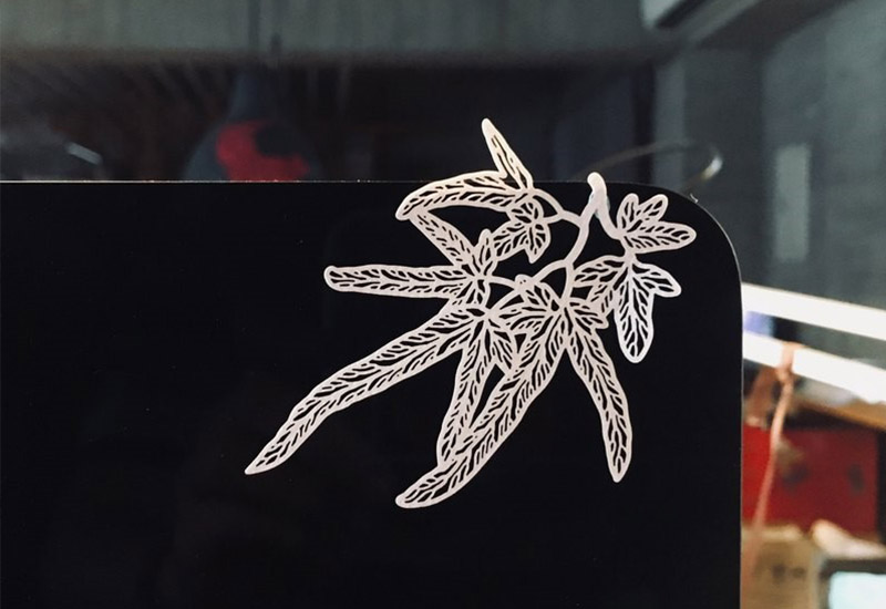 蕨類標本紙雕-海金沙