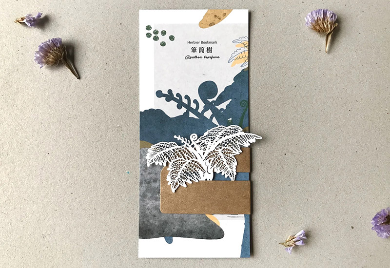 蕨類標本紙雕-筆筒樹