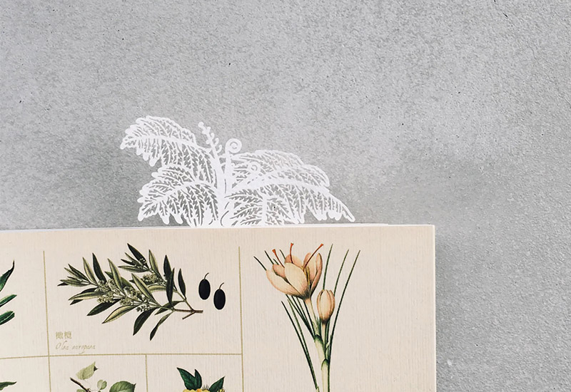 蕨類標本紙雕-筆筒樹