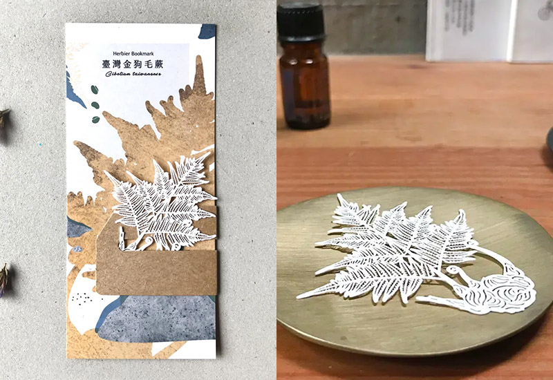 蕨類標本紙雕-臺灣金狗毛蕨