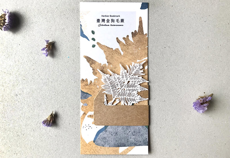 蕨類標本紙雕-臺灣金狗毛蕨