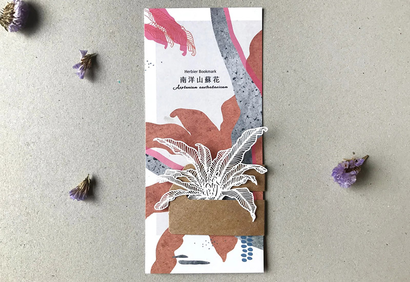 蕨類標本紙雕-南洋山蘇花
