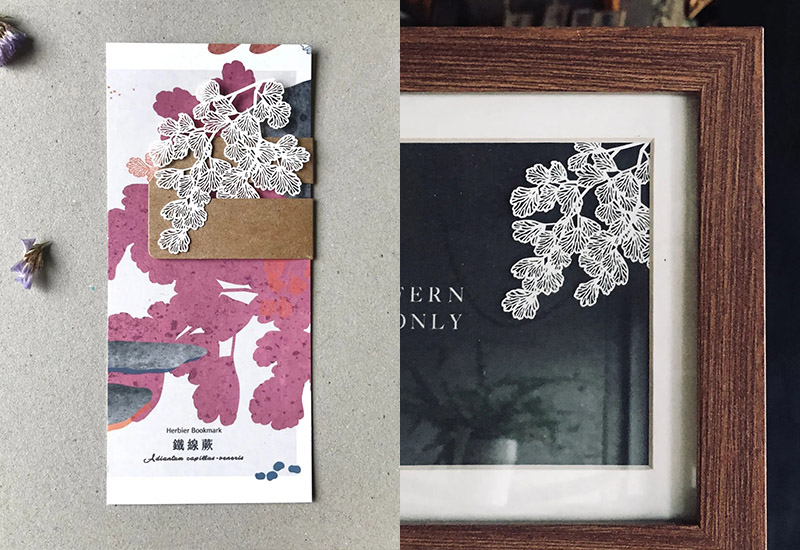 蕨類標本紙雕-鐵線蕨