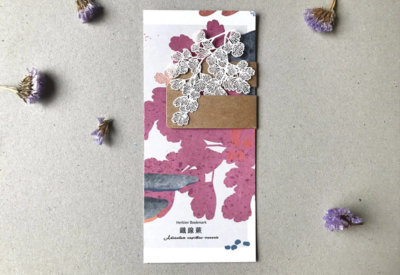 蕨類標本紙雕-鐵線蕨