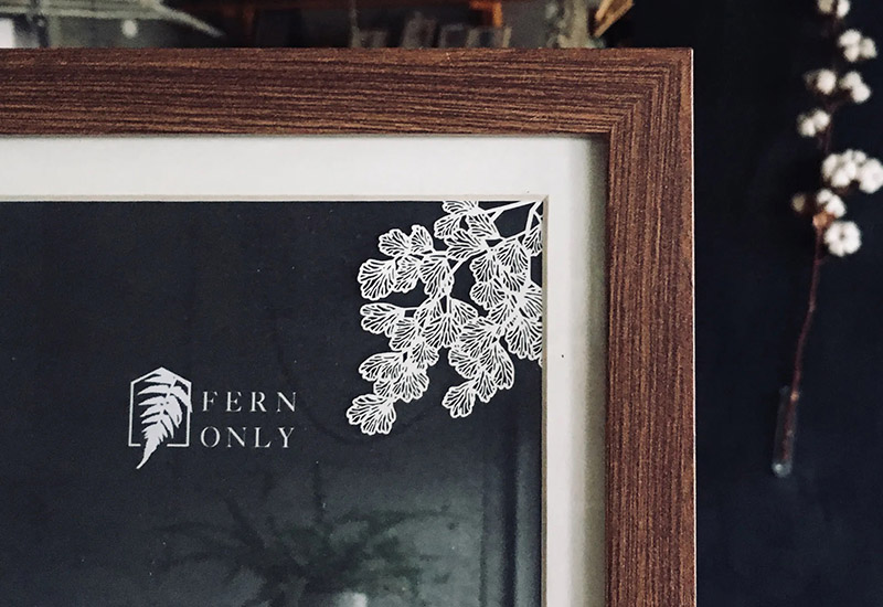 蕨類標本紙雕-鐵線蕨