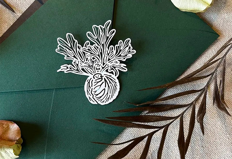 蕨類標本紙雕3.0-亞洲猴腦鹿角蕨