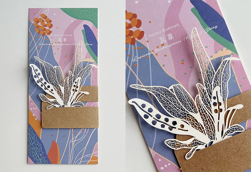 蕨類標本紙雕4.0-瓦葦