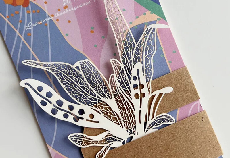 蕨類標本紙雕4.0-瓦葦