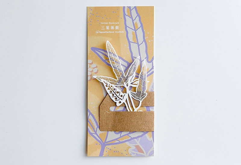 蕨類標本紙雕5.0-三葉茀蕨