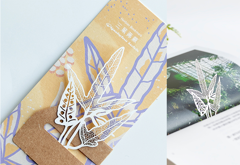 蕨類標本紙雕5.0-三葉茀蕨