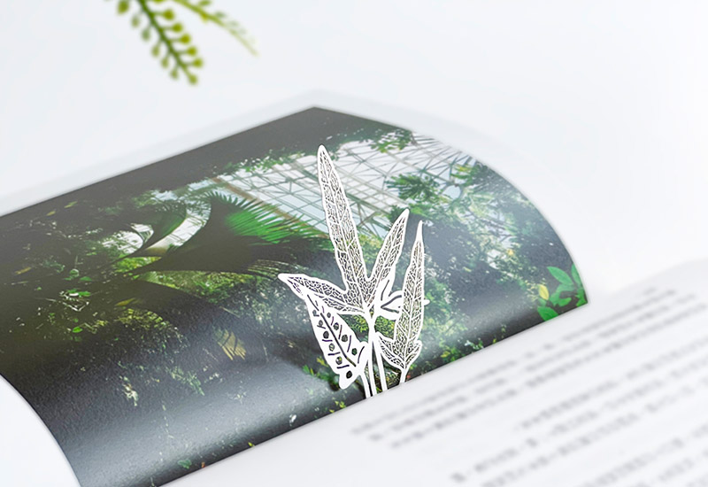 蕨類標本紙雕5.0-三葉茀蕨