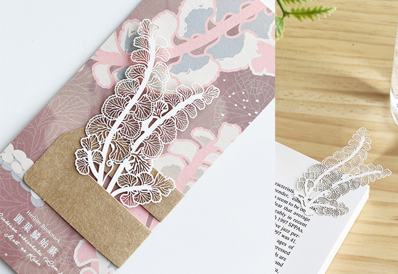 蕨類標本紙雕5.0-圓葉鱗始蕨